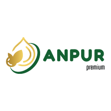 anpur.vn